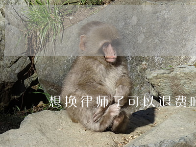 想换律师了可以退费吗(想换律师了怎么处理)