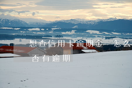 想查信用卡逾期金額怎么查(怎么查信用卡是否有逾期)