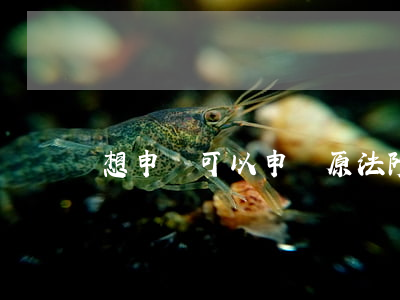 想申訴可以申請原法院復印案卷嗎