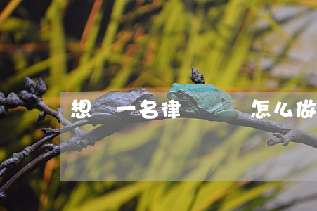 想當一名律師應該怎么做(如何做好一名律師)