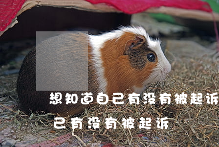 想知道自己有没有被起诉怎么查询(怎样查自己有没有被起诉)