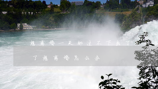 想离婚一天都过不下去了怎么办(日子没法过了想离婚怎么办)