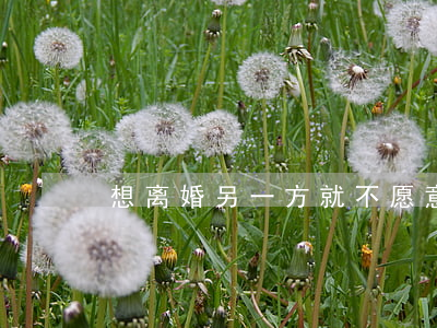 想离婚另一方就不愿意离怎么办
