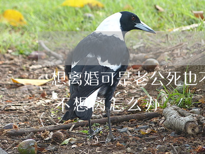 想离婚可是老公死也不离咋办(老公要离婚,我不想离怎么办)