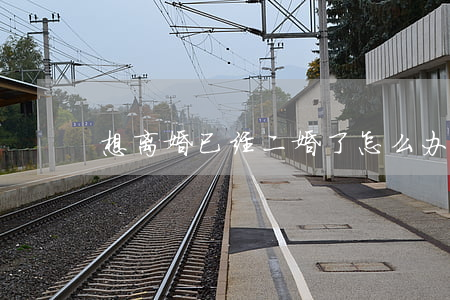 想离婚已经二婚了怎么办