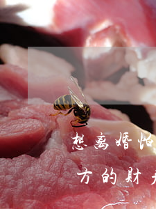 想离婚怕财产分不公平怎么办(离婚不清楚对方的财产怎么办)