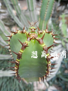 想离婚有两孩怎么办
