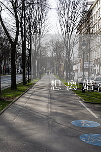 想离婚老公冷战(老婆冷战想离婚的表现)