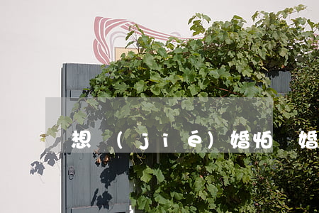 想結(jié)婚怕離婚怎么辦