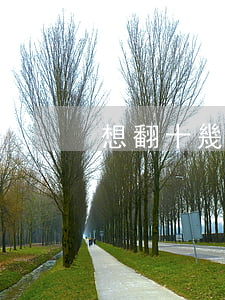 想翻十幾年的命案大概要多少錢(30年命案)
