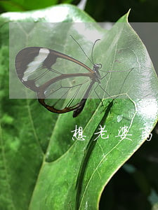 想老婆离婚了怎么办
