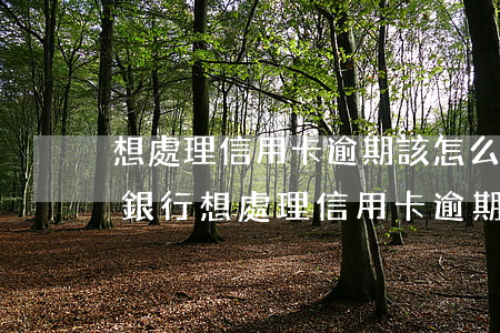 想處理信用卡逾期該怎么聯(lián)系銀行(想處理信用卡逾期該怎么聯(lián)系銀行協(xié)商)