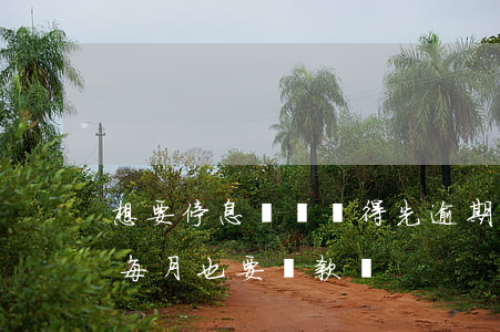 想要停息掛賬還得先逾期嗎(什么叫停息掛賬每月也要還款嗎)