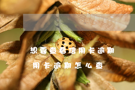 想要查看信用卡逾期記錄(不知道自己哪張信用卡逾期,怎么查?)