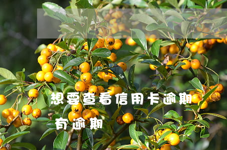 想要查看信用卡逾期記錄(信用卡怎么看有沒有逾期記錄)