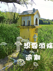 想要消除信用卡逾期記錄(怎么樣消除信用卡逾期記錄)