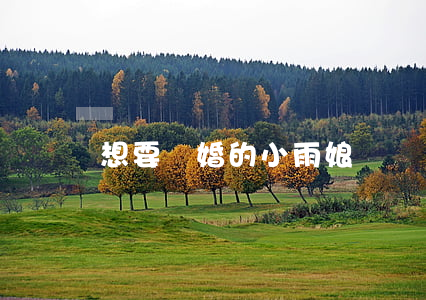 想要離婚的小雨娘