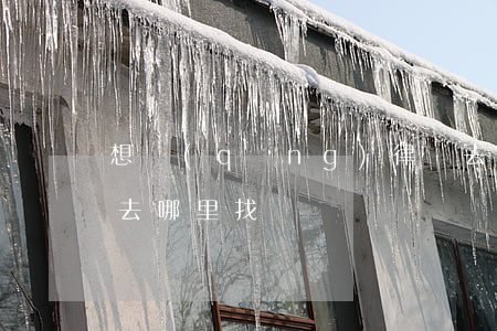 想請(qǐng)律師去哪里找(一般找律師去哪里找)