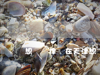 想請個律師在天津(想請個律師在天津)