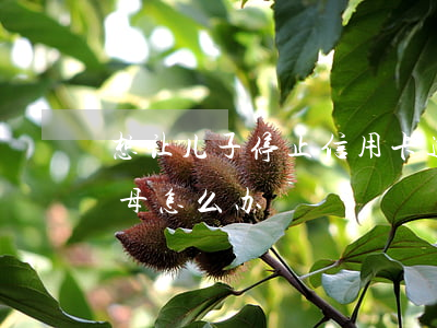 想让儿子停止信用卡透支(孩子透支信用卡父母怎么办)