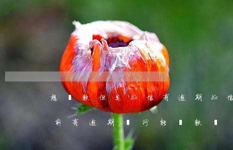 想貸款但是征信有逾期(征信當(dāng)前有逾期銀行能貸款嗎)