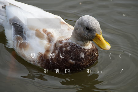 想賣婚后共同財產(chǎn)車影響離婚嗎(婚前的車婚后賣了,財產(chǎn)怎么歸屬)