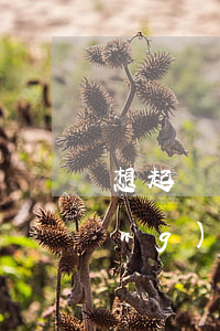 想起訴網(wǎng)貸公司 起訴網(wǎng)貸公司需要多少起訴費(fèi)