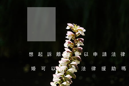 想起訴離婚可以申請法律援助嗎(沒錢起訴離婚可以申請法律援助嗎)