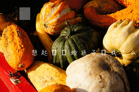 想起訴離婚孩子歸我怎么辦