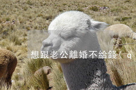 想跟老公離婚不給錢(qián)