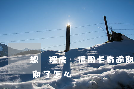想辦理房貸信用卡有逾期怎么辦(辦信用卡逾期了怎么辦)
