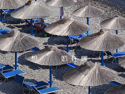 想辦離婚在哪預約(辦離婚要預約)