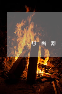 想辦離婚怎么辦手續(xù)