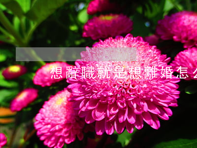 想辭職就是想離婚怎么辦