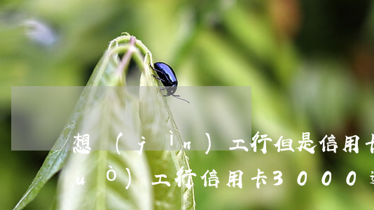 想進(jìn)工行但是信用卡逾期過(guò)(工行信用卡3000逾期了兩年)