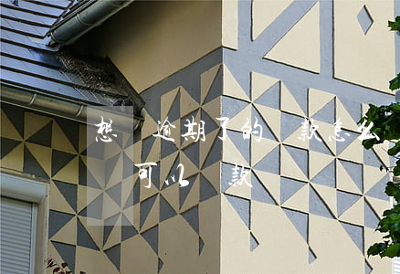 想還逾期了的貸款怎么還(貸款逾期還了以后還可以貸款嗎)