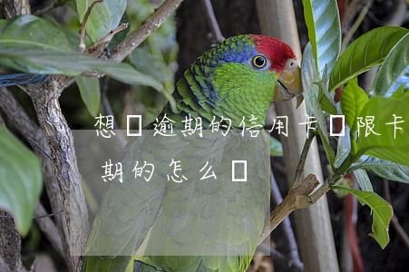 想還逾期的信用卡無限卡號 這么多信用卡逾期的怎么辦