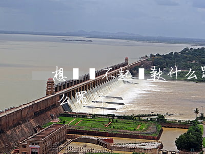 想還還不起貸款什么罪-想還還不起貸款什么罪行