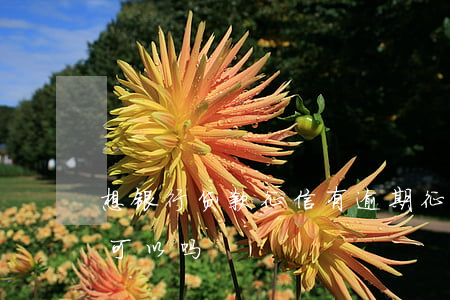 想银行贷款征信有逾期(征信逾期到银行申诉可以吗)