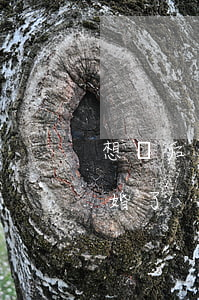 想開后他想離婚了(現(xiàn)在我想離婚了)