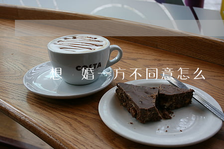想離婚一方不同意怎么處理