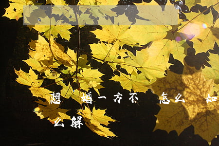 想離婚一方不離怎么辦(如果一方不想離婚怎么解決)