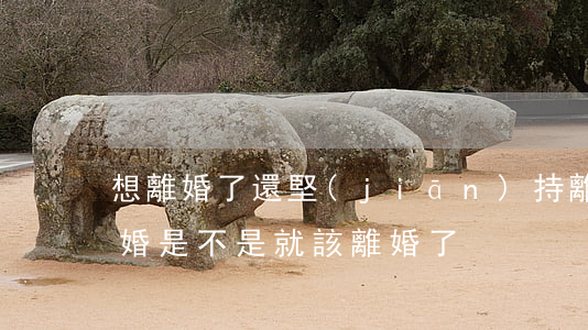 想離婚了還堅(jiān)持離嗎(總想著離婚是不是就該離婚了)