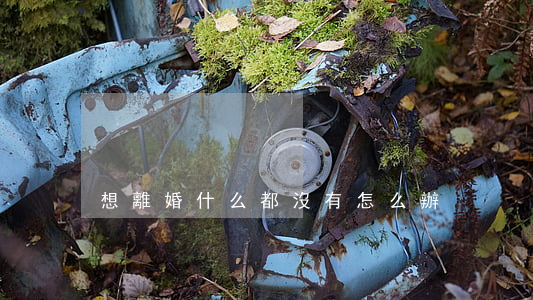 想離婚什么都沒有怎么辦