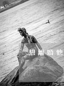 想離婚他不肯怎么辦