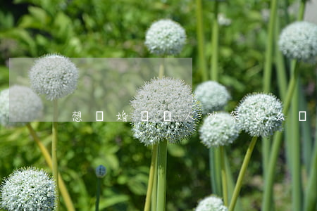 想離婚兩個人吵架怎么辦
