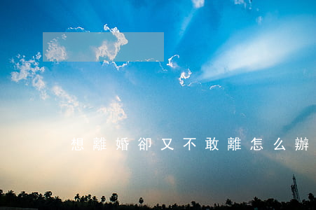 想離婚卻又不敢離怎么辦