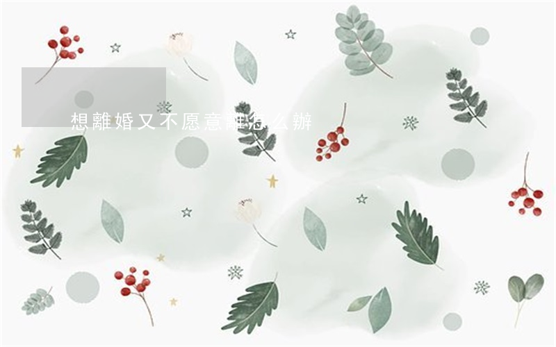 想離婚又不愿意離怎么辦