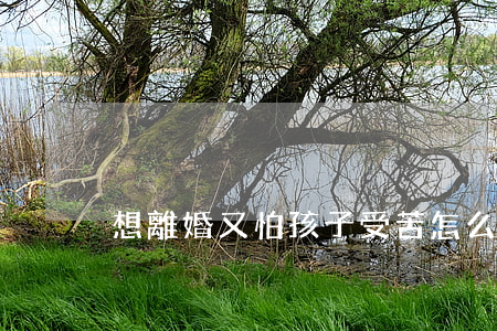 想離婚又怕孩子受苦怎么辦