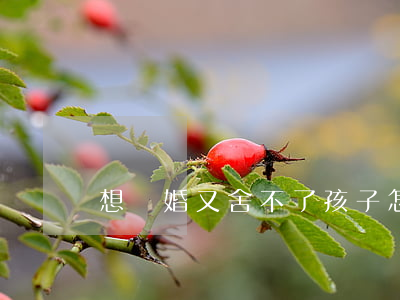 想離婚又舍不了孩子怎么辦
